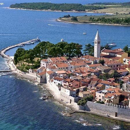 Stella Deluxe Superior 5 Star Apartment, Your Piece Of Heaven By The Sea & Park, With Sea View Novigrad  Exterior photo